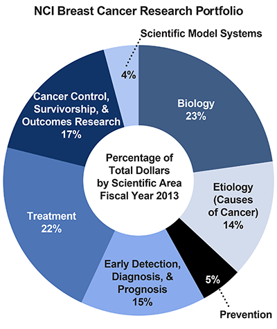 Research paper on cancer outline